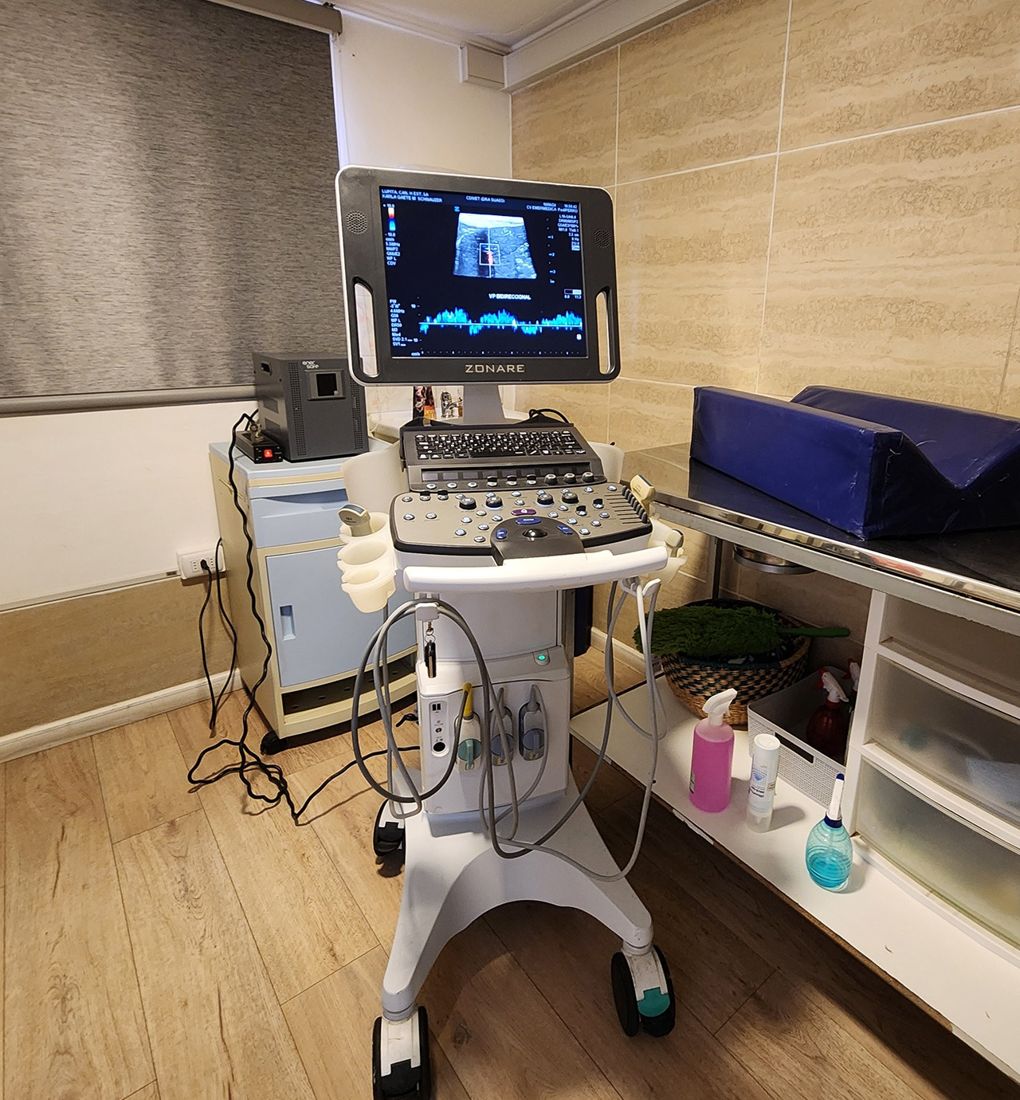 Sala de ecografía de CDIVET con ecógrafo Doppler
