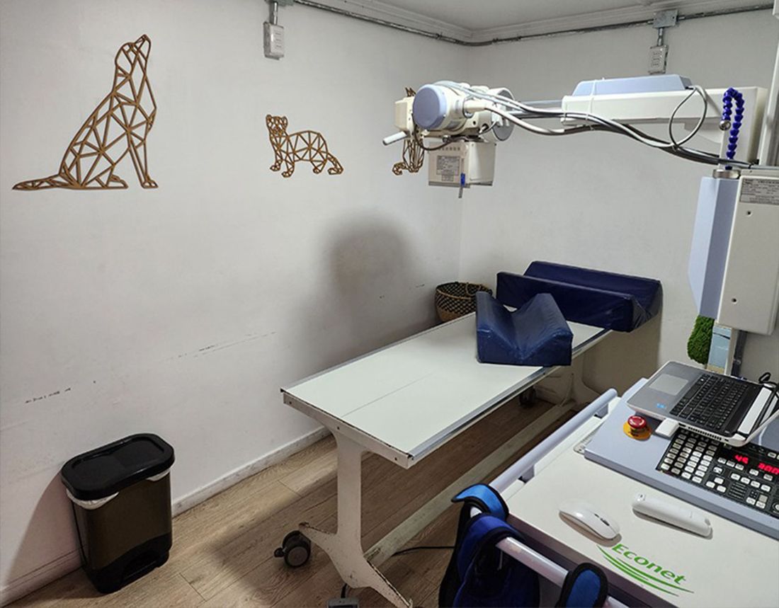 Sala de rayos X de CDIVET